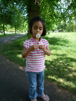 10 May park 1.jpg